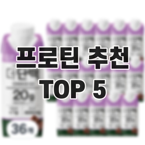 프로틴 추천 TOP 5