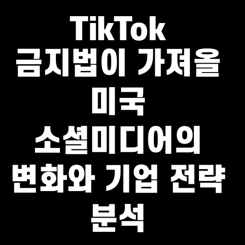 TikTok 금지법이 가져올 미국 소셜미디어의 변화와 기업 전략 분석