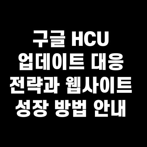 구글 HCU 업데이트 대응 전략과 웹사이트 성장 방법 안내